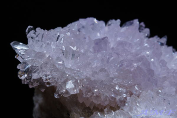 �A�����J�E�l�o�_�B�Y�p�[�v���N���[�_�C�g���Y��ȕW�{19