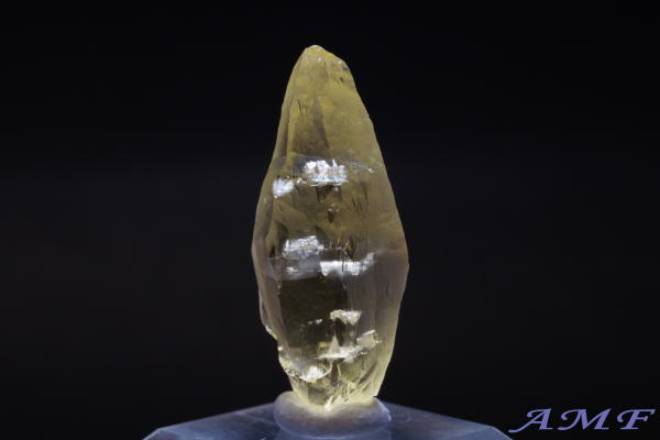 �u���W���E�G�X�s���b�g�T���g�B�Y�w���I�h�[�����Y��ȕW�{12