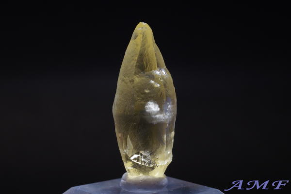 �u���W���E�G�X�s���b�g�T���g�B�Y�w���I�h�[�����Y��ȕW�{14