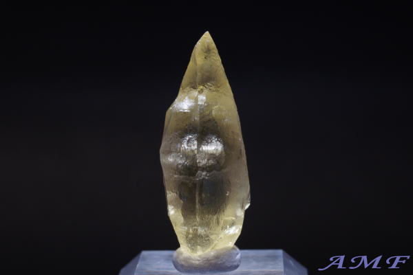 �u���W���E�G�X�s���b�g�T���g�B�Y�w���I�h�[�����Y��ȕW�{17