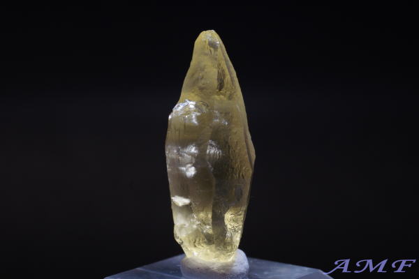 �u���W���E�G�X�s���b�g�T���g�B�Y�w���I�h�[�����Y��ȕW�{18