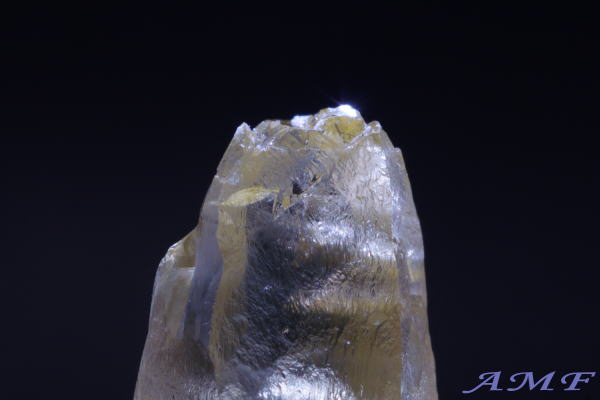 �u���W���E�G�X�s���b�g�T���g�B�Y�w���I�h�[�����Y��ȕW�{19