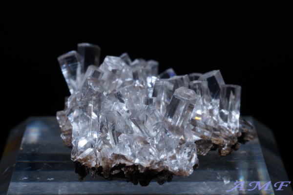 ���������ȎY�J���T�C�g���Y��ȕW�{23