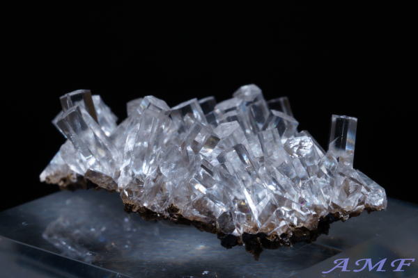 ���������ȎY�J���T�C�g���Y��ȕW�{24