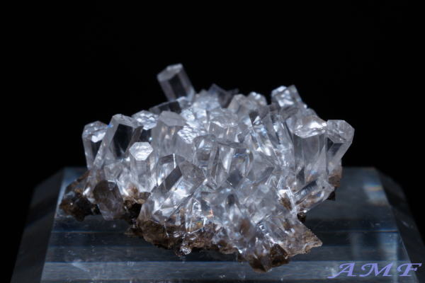 ���������ȎY�J���T�C�g���Y��ȕW�{27