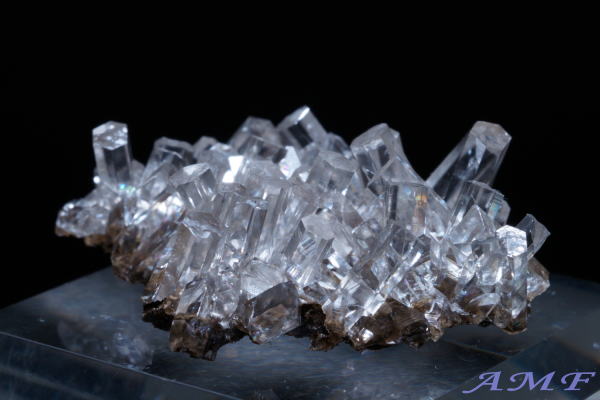 ���������ȎY�J���T�C�g���Y��ȕW�{28