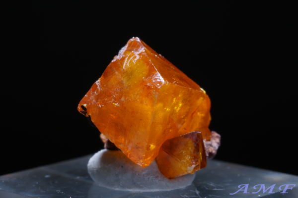 �R���S���a���Y�E���t�F�i�C�g���Y��ȕW�{12