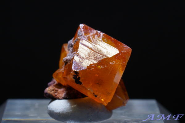 �R���S���a���Y�E���t�F�i�C�g���Y��ȕW�{13