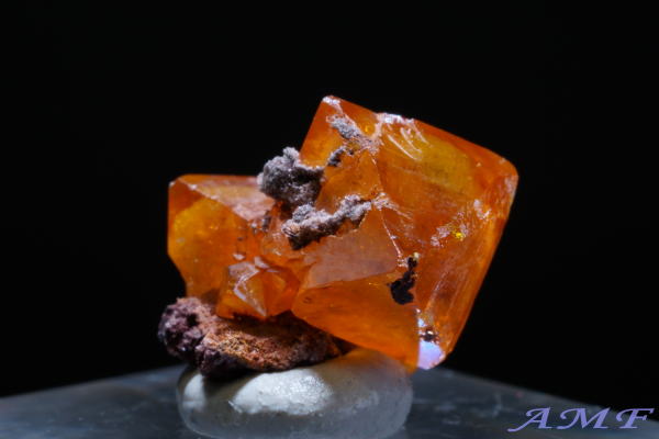 �R���S���a���Y�E���t�F�i�C�g���Y��ȕW�{14