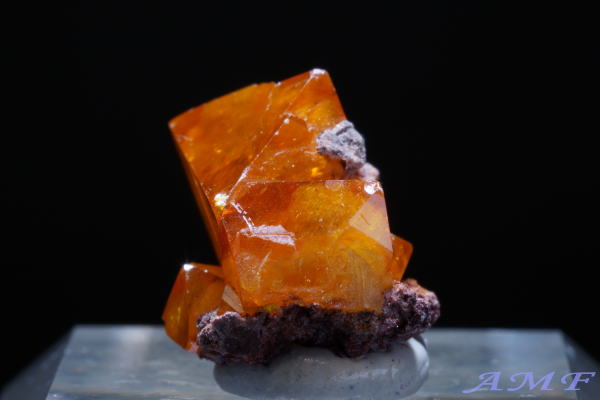 �R���S���a���Y�E���t�F�i�C�g���Y��ȕW�{17