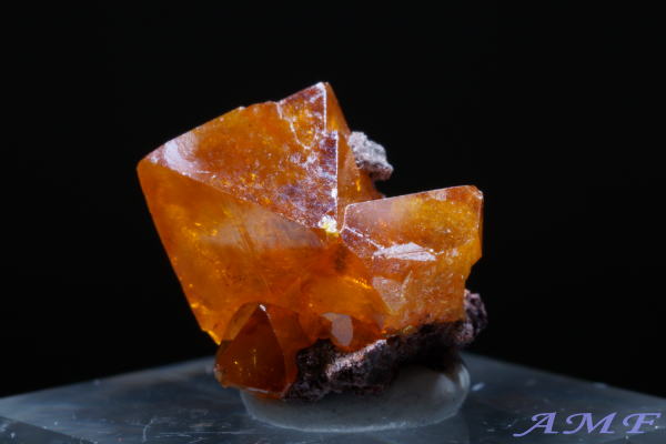 �R���S���a���Y�E���t�F�i�C�g���Y��ȕW�{18