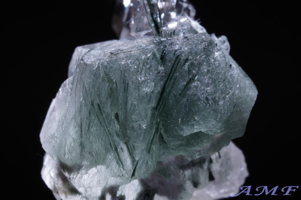 �C�^���A�Y�A�N�`�m���C�gin�N�H�[�c���Y��ȕW�{59