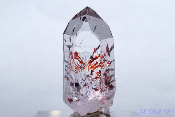 �Y��ȃu�����h�o�[�O�Y���s�h�N���T�C�gin�N�H�[�c179