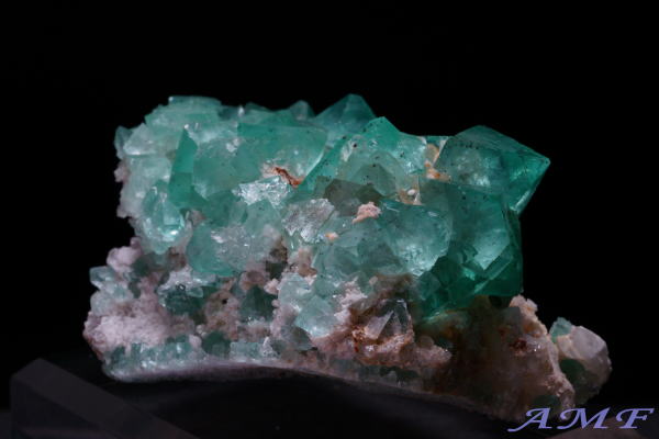 ��A�t���J�Y�O���[���t���[���C�g���Y��ȕW�{104