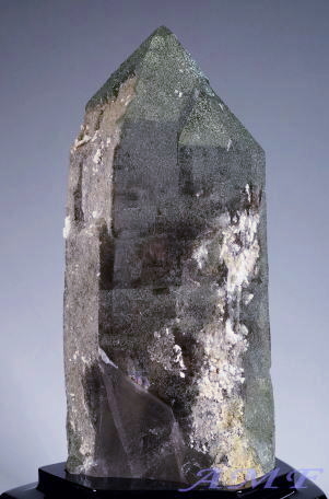 KlbVq}[Y1902