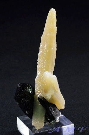 YȓSYCoCgt1