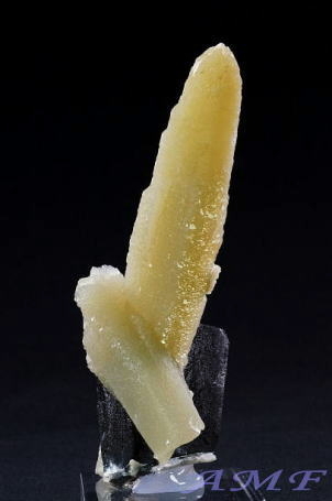 YȓSYCoCgt3