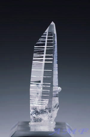 YȃRrAYA224