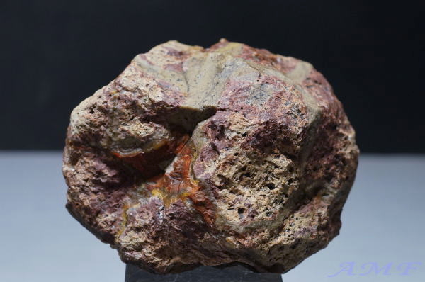 YȃA[`YRhAQ[g13