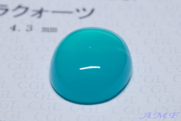 �A�����J�E�h�~�j�I���z�R�Y�W�F���V���J�S.�T�S����110