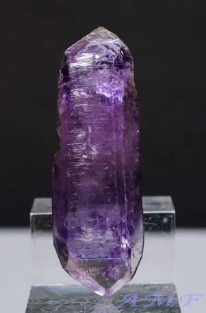 LVRExNXYAVXg51